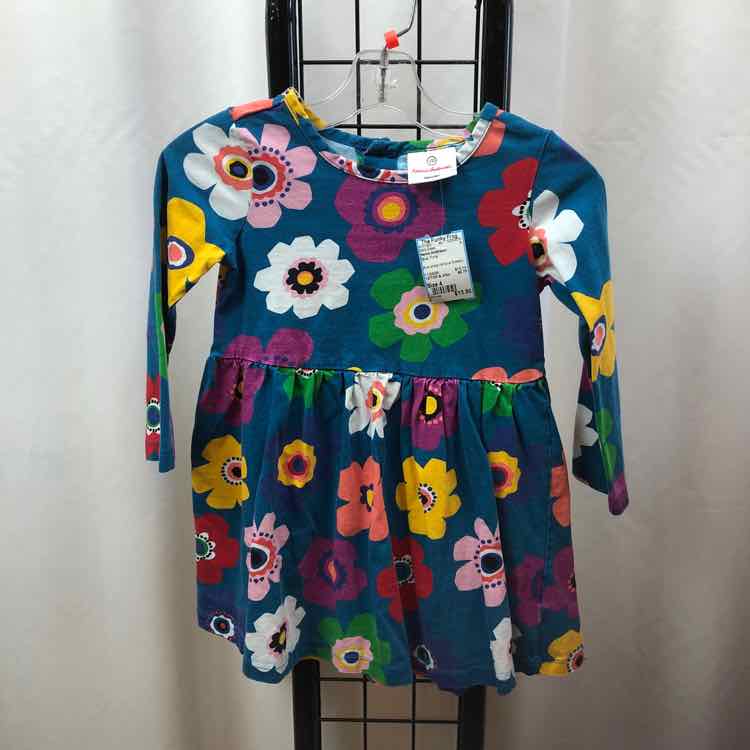Hanna Andersson Blue Floral Child Size 4 Girl's Dress